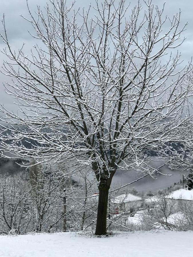 Mikro Katafygio Stavli Dış mekan fotoğraf